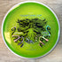 Axiom Particle Glow Proton Hex - Champions Cup Edition #2
