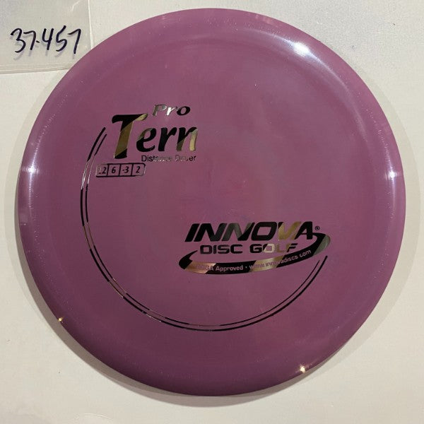 Innova Tern