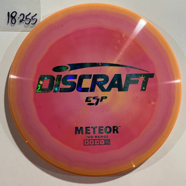 Meteor ESP